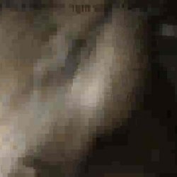 Old white bitch Vs Young Black Dick