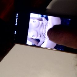 tribute