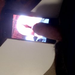 Tribute