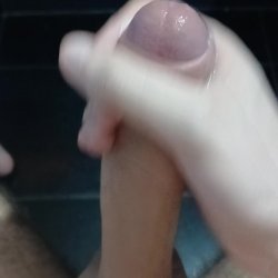 Paja 5