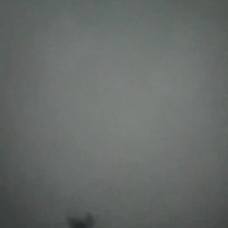 culiada_rubia