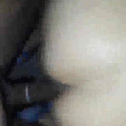 Cuckold Squirting Wives Fuck Bulls BAREBACK