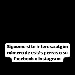 Agregame y sígueme si quieres el número o Facebook de alguna adolescente