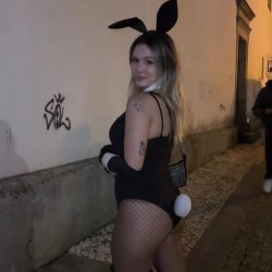 Naughty bunny wants to play