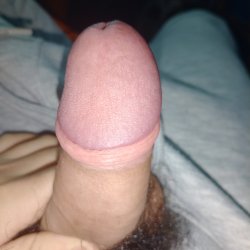 Rico pene que tengo