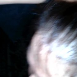 Bbw Amateur Brunette Wife Sucking And Lick Big Cock