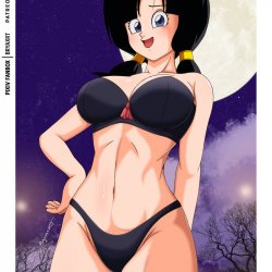 DBZ videl