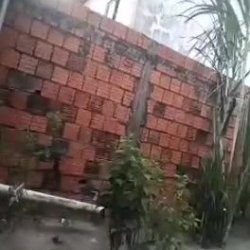 Live Br online vídeo 09886