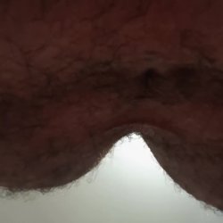 Na falta de rola, o viadinho fode o cuzinho com a escova, quer me comer? So entrar em contato