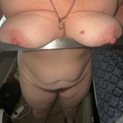 My kitty plays with a steel ruler on her udders
