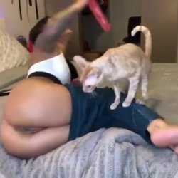 The doesn’t allowed her