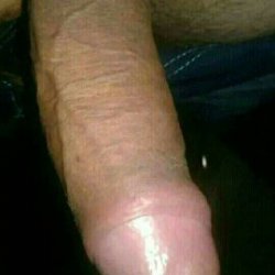 IMG-20241204-WA0079