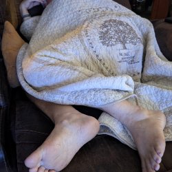 grandma sleepy feet 2026-06-20