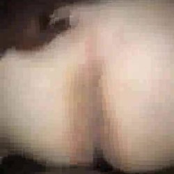 Black Bull Fucks My Wife In Front Of Me