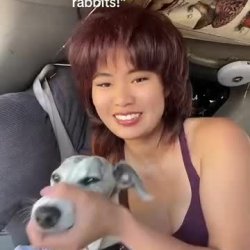Awww I see cute little rabbits