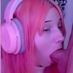 OMeerkatL 18
