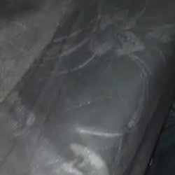 2 turritas enfiestadas
