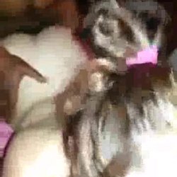 Swinger Blonde MILF Wants A New BBC Man