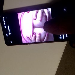 Tribute