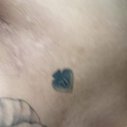 VID_20260117_051822