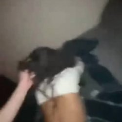 amateur slut begs for daddys cum