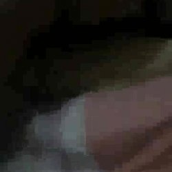 White Pussy absolutely DESTROYED by Black Cocks