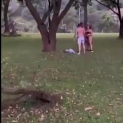 Caught meat bouncing in the park