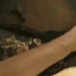 BIg Tit Slut Wife Fucks Hubbys Friend Eric