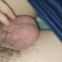 VID_20260502_033742508
