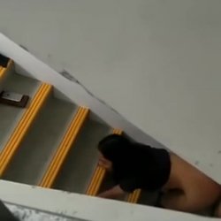 Caught Indian