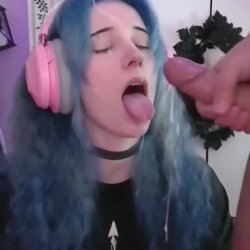 OMeerkatL 4