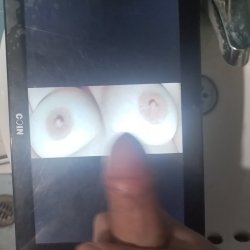 Mis cock tributo