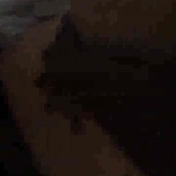 Boyfriend Sends Black Stud To Fuck Her Cute Horny GF