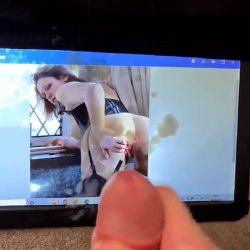 Stephie tribute