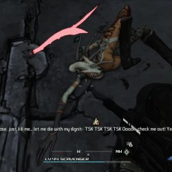 Borderlands 1 - Steele and Lance assassin's