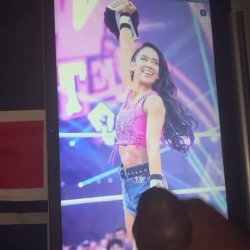 AJ Lee JerkTribute