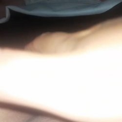 Cremosa se pajea todo el dia