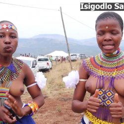 Ama tshitshi _ ukuhlolwa kwentombi