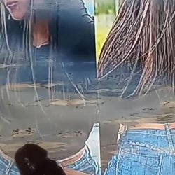 Cola hermosa de esta putis