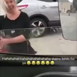 Trucker DickFlash a mature woman and dare her to suck dick