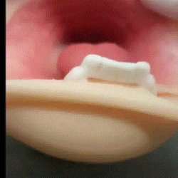 videotogif_2025.04.13_15.55.15