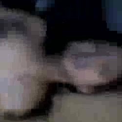 Orgy with my girlfriend and her BBW friend