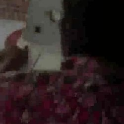 Short Closeup Fuck with Black Cock And Horny Amateur Wife