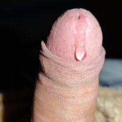 My cock is ready to cum ❤️