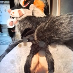 fox fursuit