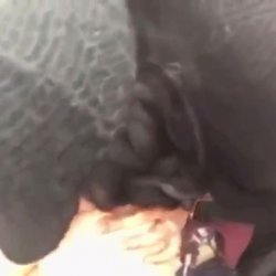 Manager sucking employee huge nattys for OT
