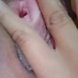 Coroa maravilhosa