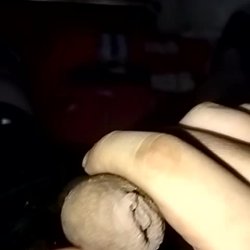 Quién quiere de mi verga ?