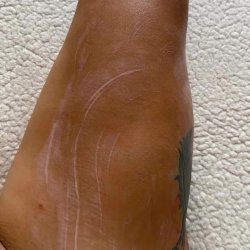 Body cream