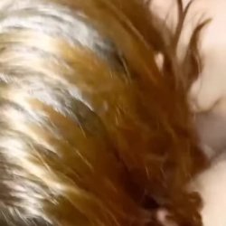 Ebony Blonde TGirl Dominates her Submissive Man aShemaleTube